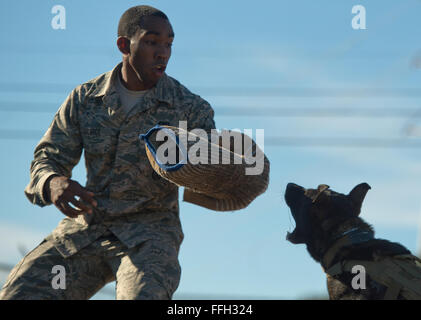 Le s.. Sharif DeLarge, un conducteur de chien de travail militaire du 802 e Escadron des Forces de sécurité, des accolades pour l'impact lors d'une agression contrôlée de l'exercice avec JJany Antonio-Lackland à Joint Base San. Devine et militaire de chiens de travail affecté à JBSA-Lackland remplissent les exigences de l'application de la loi tous les jours ou en train de rester prêt à la mission. Banque D'Images