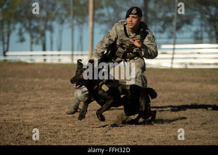 Le s.. Mark Devine, un conducteur de chien de travail militaire du 802 e Escadron des Forces de sécurité, presse JJany au cours d'un exercice à l'agression contrôlée Joint Base San Antonio-Lackland. Devine et militaire de chiens de travail affecté à JBSA-Lackland remplissent les exigences de l'application de la loi tous les jours ou en train de rester prêt à la mission. Banque D'Images