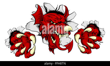 Welsh dragon rouge de galles Y Ddraig Goch Smashing par l'arrière-plan avec ses griffes. Mascotte sportive. Banque D'Images