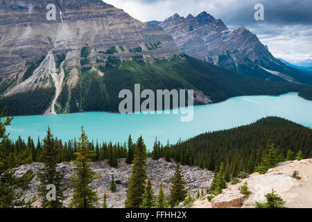 Vue aérienne de Peyto Lake, parc national Banff Banque D'Images