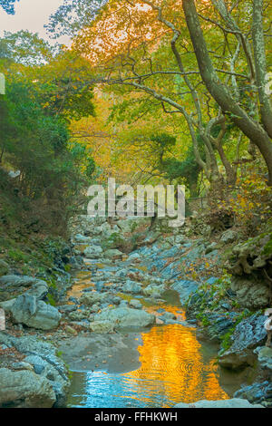 Spanien, Kreta, Agios Antonios-Schlucht bei Karines südlich von Rethymnon. Banque D'Images