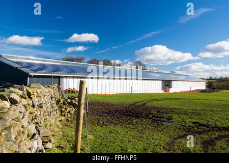 Les panneaux solaires sur une nouvelle étable en construction sur Wigglesworth Hall Farm. Le système est un 197 KW, et fournira l'énergie pour la ferme, et pour le réseau national. Banque D'Images