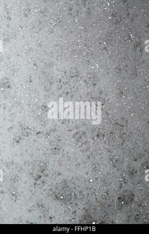 Texture mousse libre Banque D'Images