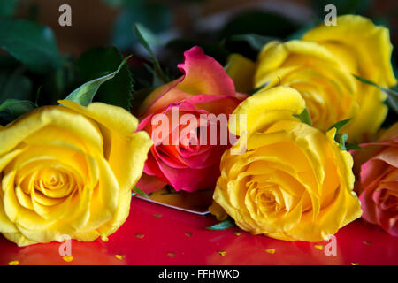 Roses roses et jaunes sur fond rouge avec coeurs or Banque D'Images