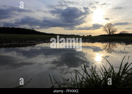 Commune d'Epsom, Surrey, Angleterre, Royaume-Uni. 14Th Feb 2016. Après la pluie, des nuages passent au-dessus de terres agricoles inondées près d'Epsom. Credit : Julia Gavin UK/Alamy Live News Banque D'Images