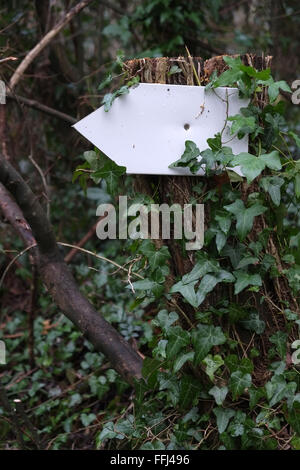 Petit panneau blanc blanc fixé sur un arbre, prêt à vous d'ajouter votre propre texte ou dessin. 14 février 2016 Banque D'Images