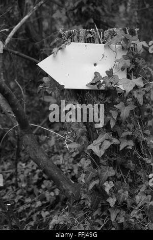 Petit panneau blanc blanc fixé sur un arbre, prêt à vous d'ajouter votre propre texte ou dessin. 14 février 2016 Banque D'Images