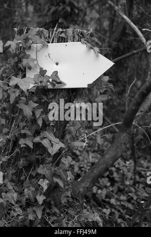 Petit panneau blanc blanc fixé sur un arbre, prêt à vous d'ajouter votre propre texte ou dessin. 14 février 2016 Banque D'Images