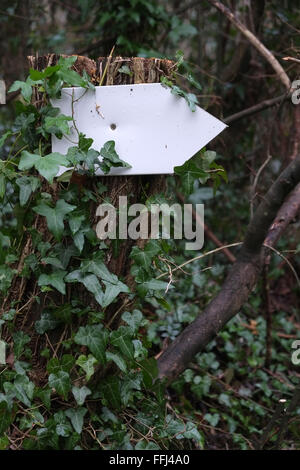 Petit panneau blanc blanc fixé sur un arbre, prêt à vous d'ajouter votre propre texte ou dessin. 14 février 2016 Banque D'Images