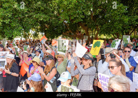 Sydney, Australie. 14Th Feb 2016. Les manifestants tiennent des affiches à la manifestation le jour de la Saint-Valentin dans l'espoir de sauver au moins 800 arbres à partir de la compensation ou des dommages à la construction de Sydney's light rail. Credit : Hugh Peterswald/Pacific Press/Alamy Live News Banque D'Images