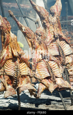 Patagonie Argentine asado d'agneau grillé al asador Banque D'Images