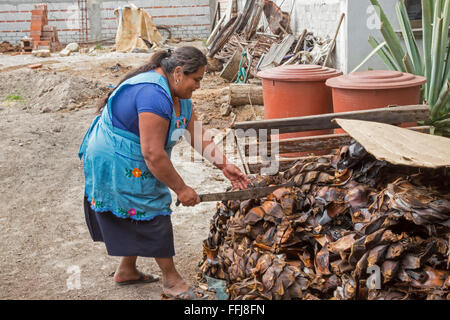 Matatlán Santiago, Oaxaca, Mexique - une femme utilise une machette pour couper des morceaux de la piña de l'usine de maguey mezcal lors d'une distillerie. Banque D'Images