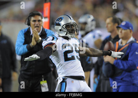 Tampa, FL, USA. 24 Oct, 2013. Leonard Johnson évoluait Carolina Panthers (29) célèbre un jeu défensif pendant les Panthers 21-6 victoire contre les Tampa Bay Buccaneers chez Raymond James Stadium le 24 octobre 2013, à Tampa, en Floride. ZUMA PRESS/Scott A. Miller © Scott A. Miller/ZUMA/Alamy Fil Live News Banque D'Images