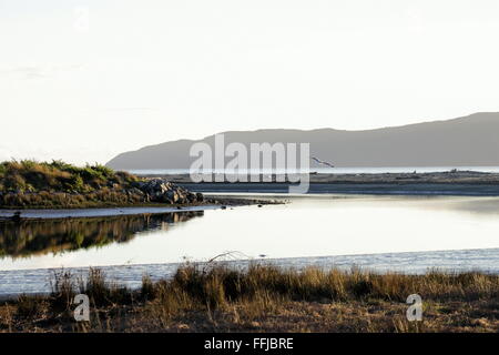 Waikanae Kapiti, estuaire, Wellington, Nouvelle-Zélande. Banque D'Images