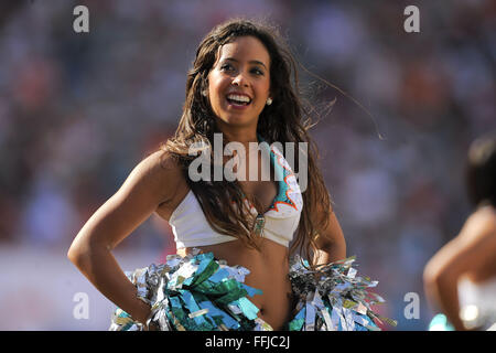 Miami Gardens, FL, USA. 24 nov., 2013. Au cours de la cheerleader des Dolphins de Miami Dolphins match contre les Panthers à SunLife Stadium le 24 novembre 2013 à Miami Gardens, en Floride. ZUMA PRESS/ Scott A. Miller © Scott A. Miller/ZUMA/Alamy Fil Live News Banque D'Images