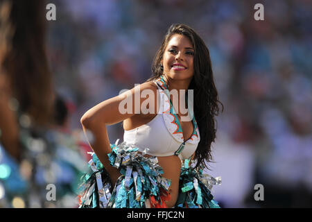 Miami Gardens, FL, USA. 24 nov., 2013. Au cours de la cheerleader des Dolphins de Miami Dolphins match contre les Panthers à SunLife Stadium le 24 novembre 2013 à Miami Gardens, en Floride. ZUMA PRESS/ Scott A. Miller © Scott A. Miller/ZUMA/Alamy Fil Live News Banque D'Images