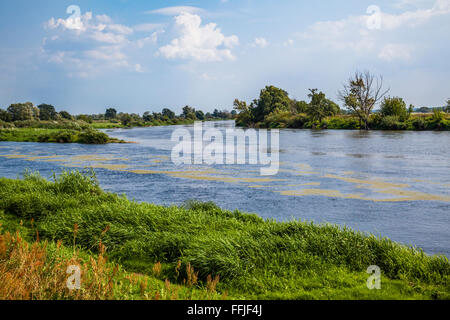 L'ouest de la Pologne, Lubuskie Province, confluent de la Warta, un affluent de la rivière Oder et la rivière Notec à Santok Banque D'Images