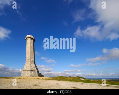 Le Dorset Hardy Monument érigé en mémoire de Vice-amiral sir Thomas Hardy, un commandant à la bataille de Trafalgar Banque D'Images