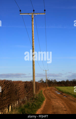 Les lignes de transport d'électricité sur des poteaux télégraphiques crossing campagne, Suffolk, Angleterre, RU Banque D'Images