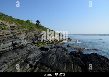 Un merveilleux paysage rocheux et un ciel bleu clair capturé sur la falaise à pied à Newport, RI. Banque D'Images