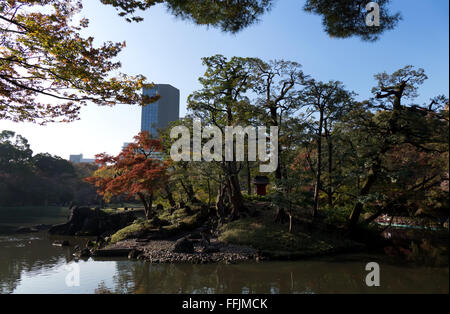 Jardin Koishikawa Korakuen, Tokyo, Japon. Parc de la ville de saison d'automne, feuillage de l'automne sur les arbres. La culture japonaise, nature, paysage Banque D'Images