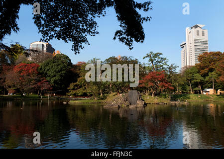 Jardin Koishikawa Korakuen, Tokyo, Japon. Parc de la ville de saison d'automne, feuillage de l'automne sur les arbres. La culture japonaise, nature, paysage Banque D'Images