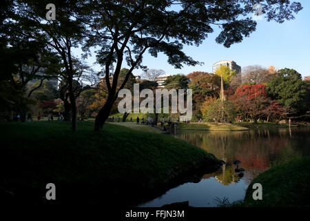 Jardin Koishikawa Korakuen, Tokyo, Japon. Parc de la ville de saison d'automne, feuillage de l'automne sur les arbres. La culture japonaise, nature, paysage Banque D'Images