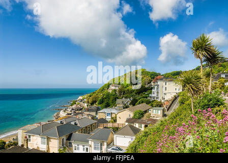 Vue sur Ventnor, île de Wight, Angleterre du Sud Banque D'Images