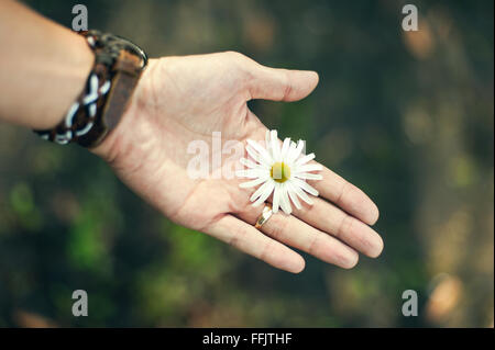 Fleurs dans la main. close-up view Banque D'Images