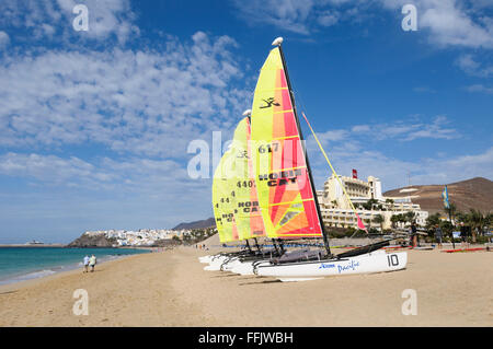 Hobie cats échoué sur le sable à Morro del Jable, Fuerteventura, Îles Canaries, Espagne Banque D'Images