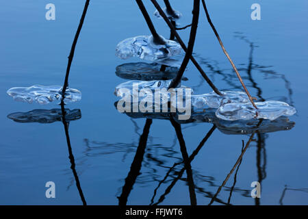 Montgomery County, Maryland, USA. 14Th Feb 2016. Les glaçons sur le lac, comté de Maryland, Washington DC area Crédit : John Cancalosi/Alamy Live News Banque D'Images