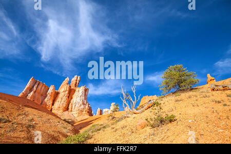 Formations rocheuses dans le Parc National de Bryce Canyon, Utah, USA. Banque D'Images