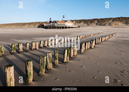 Strand, Nordsee-Küste Buhne, Domburg, Pays-Bas, Provinz Seeland, | Plage, épi, Domburg, côte de la mer du Nord, Zélande, Netherla Banque D'Images