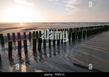 Strand, Nordsee-Küste Buhne, Domburg, Pays-Bas, Provinz Seeland, | Plage, épi, Domburg, côte de la mer du Nord, Zélande, Netherla Banque D'Images