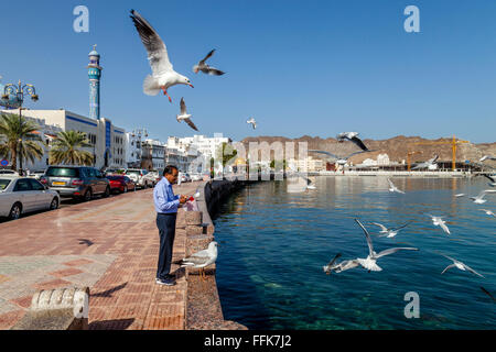 Un homme nourrit les oiseaux sur la Corniche (Promenade) à Muttrah, Muscat, Sultanat d'Oman Banque D'Images