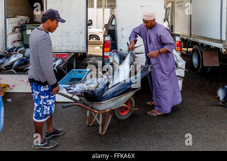 Déchargement de poisson frais du marché aux poissons, Muttrah, Muscat, Sultanat d'Oman Banque D'Images