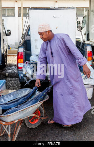 Déchargement de poisson frais du marché aux poissons, Muttrah, Muscat, Sultanat d'Oman Banque D'Images