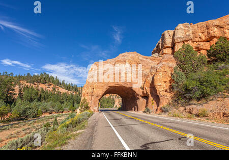 Arch road tunnel sur la façon de Bryce Canyon National Park, Utah, USA. Banque D'Images