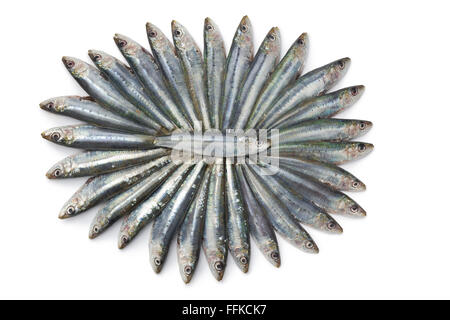 Matières premières fraîches sardines dans un joli motif sur fond blanc Banque D'Images