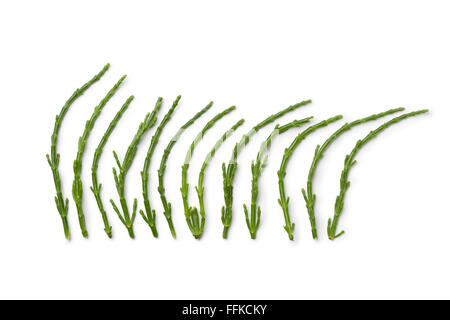 Samphire frais tiges dans une ligne sur fond blanc Banque D'Images