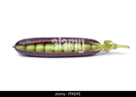 Les pois frais en violet pod sur fond blanc Banque D'Images