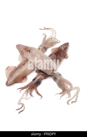Matières premières fraîches squid sur fond blanc Banque D'Images
