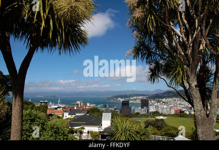 Vue depuis le jardin Botancial sur Wellington, Nouvelle-Zélande Banque D'Images