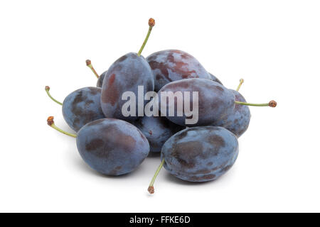 Les prunes fraîches entières Damson violet sur fond blanc Banque D'Images