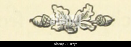 Cette collection présente 79 ballades en lettres noires et larges faces imprimées sous le règne de la reine Elizabeth, offrant un aperçu de la culture populaire et de la musique de l'époque élisabéthaine. Il comprend des chansons traditionnelles, des poèmes et des commentaires sociaux de l'époque. Banque D'Images