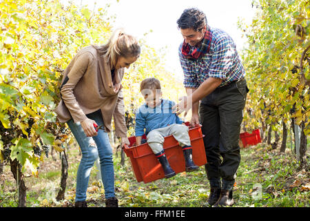 Mère et père portant leur fils en boîte rouge à travers vineyard Banque D'Images