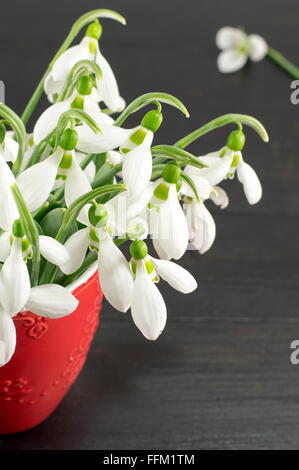 Perce-neige fraîche bouquet sur table en bois foncé Banque D'Images