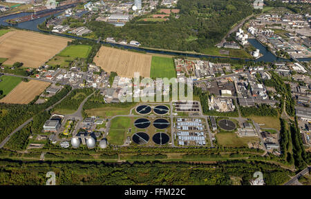 Vue aérienne de l'usine de traitement des eaux usées, traitement des eaux usées Emscher Deusen, Huckarde, Dortmund, Ruhr, Rhénanie du Nord-Westphalie Banque D'Images