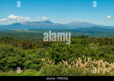 Voir les volcans de Tongariro de près de Kuratau, Waikato, Nouvelle-Zélande Banque D'Images