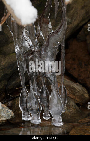 Le Maryland, Washington DC, USA. 15 Février, 2016. Les glaçons sur le lac, comté de Maryland, Washington DC area Crédit : John Cancalosi/Alamy Live News Banque D'Images